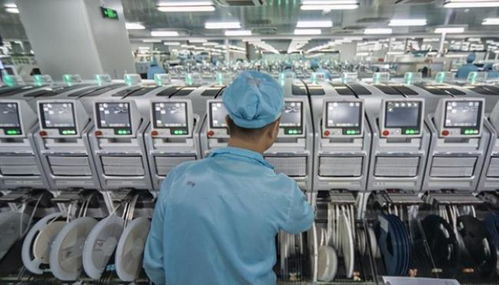 回国非“接盘” 理性看待海外归国现象